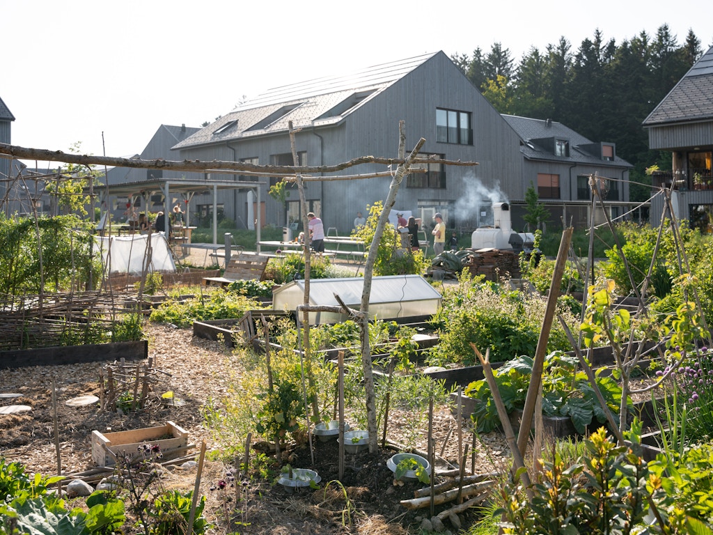 Potager communautaire