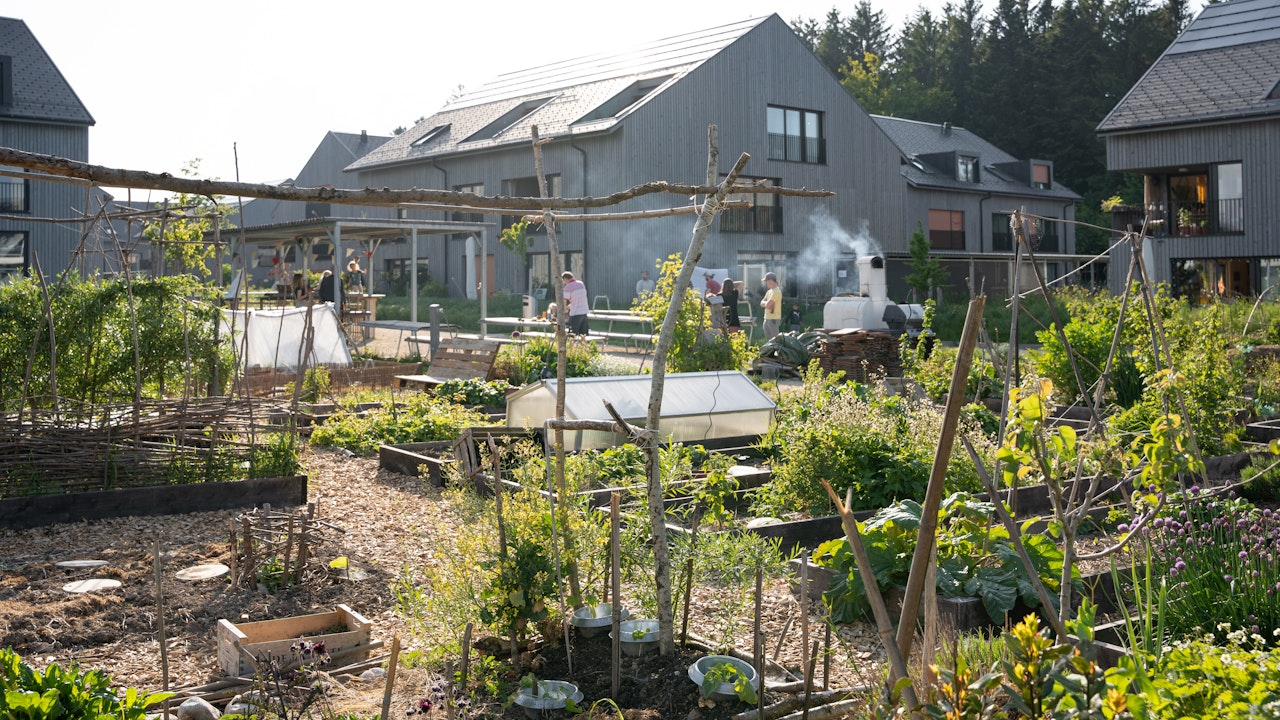 Gemeinschafts-Gemüsegarten