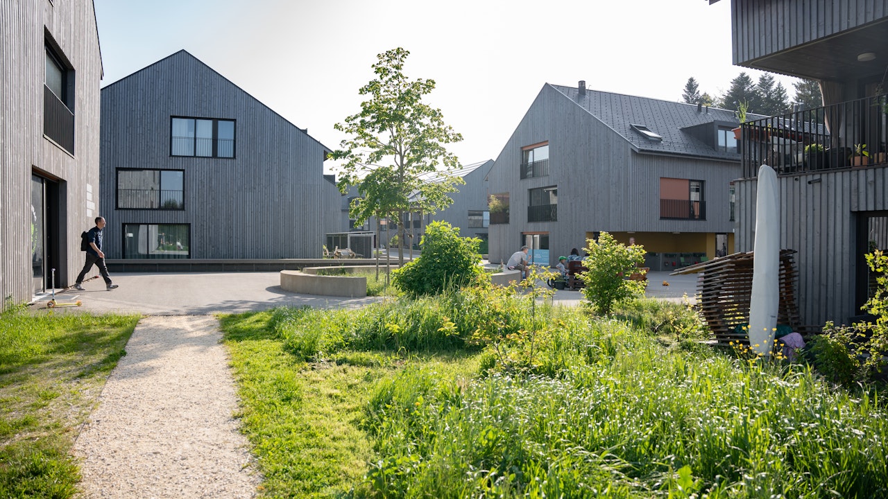 Pra Roman Palaverbaum