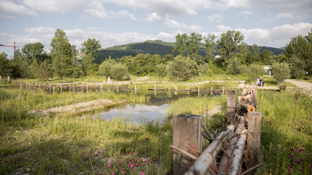 Habitat intorno allo stagno