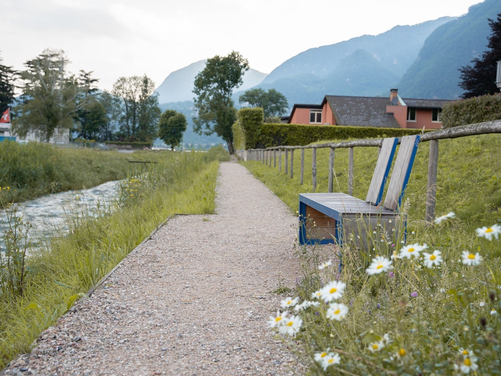 Renaturierung der Flussgebiete