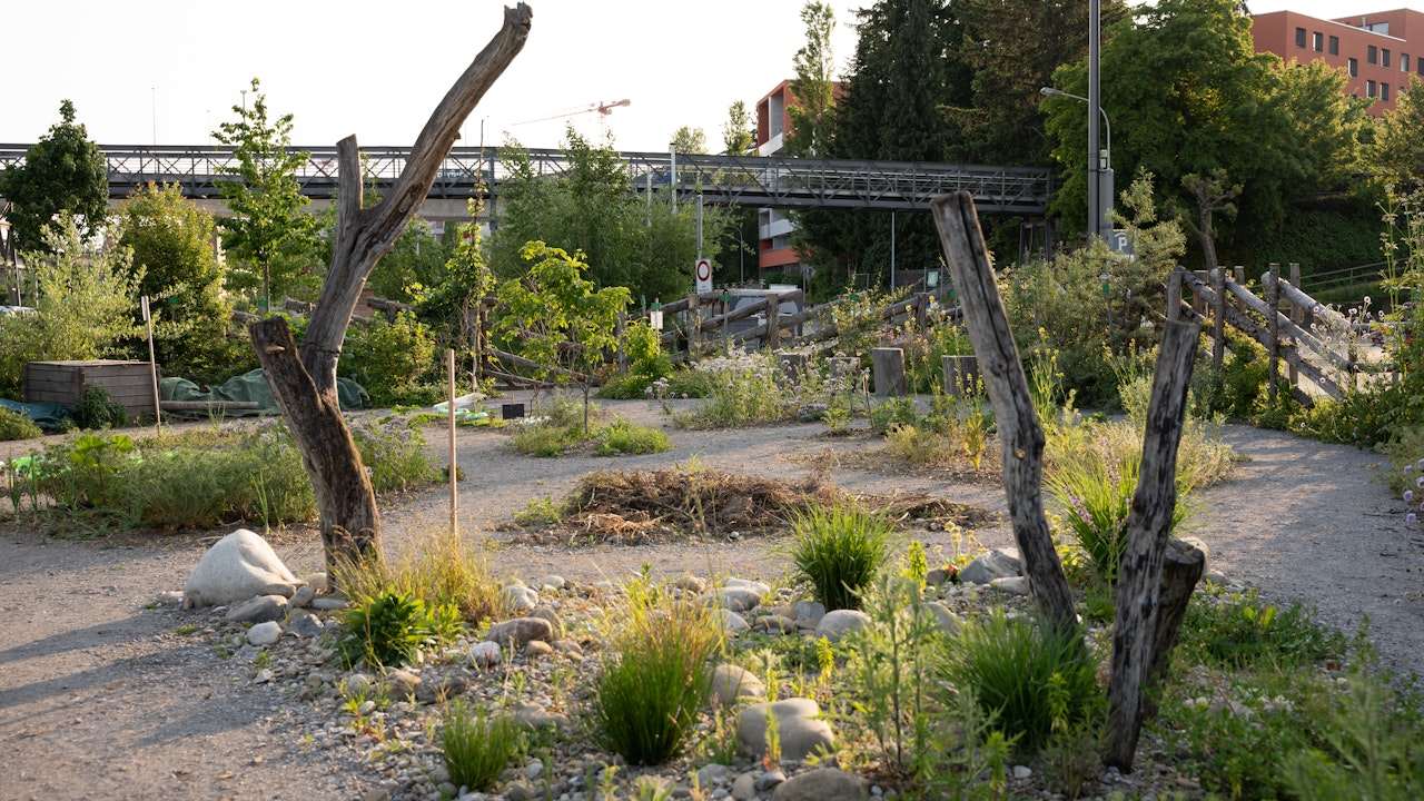 Auf dem ehemaligen Gleisfeld steht heute ein Naturgarten mit ökologisch wertvollen Kleinstrukturen für seltene Tier- und Pflanzenarten.