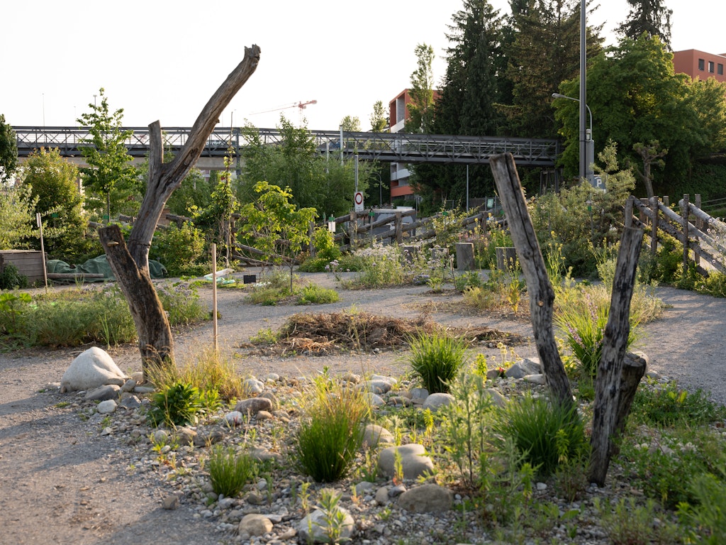 Auf dem ehemaligen Gleisfeld steht heute ein Naturgarten mit ökologisch wertvollen Kleinstrukturen für seltene Tier- und Pflanzenarten.