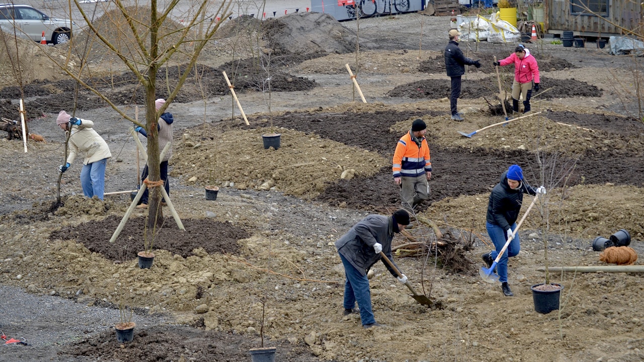 Neue Arealgestaltung