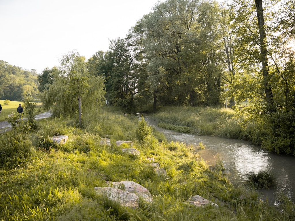 Parc du Laveggio: Prix Binding pour la biodiversité 2024