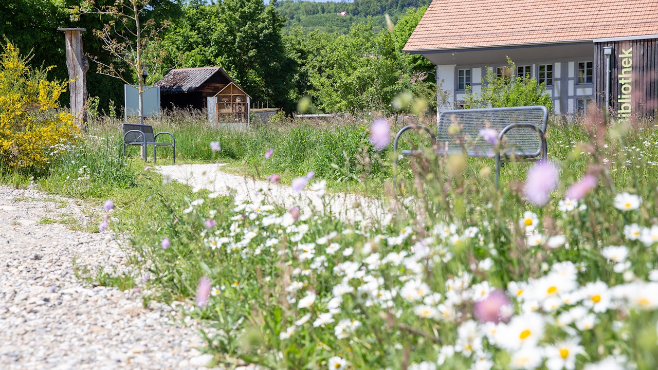 Rothrist Naturgarten wird mit dem Binding Preis für Biodiversitat 2021 ausgezeichnet.
