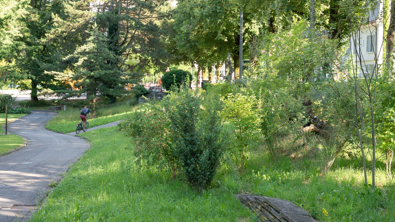 Bremgarten Friedhof Bern