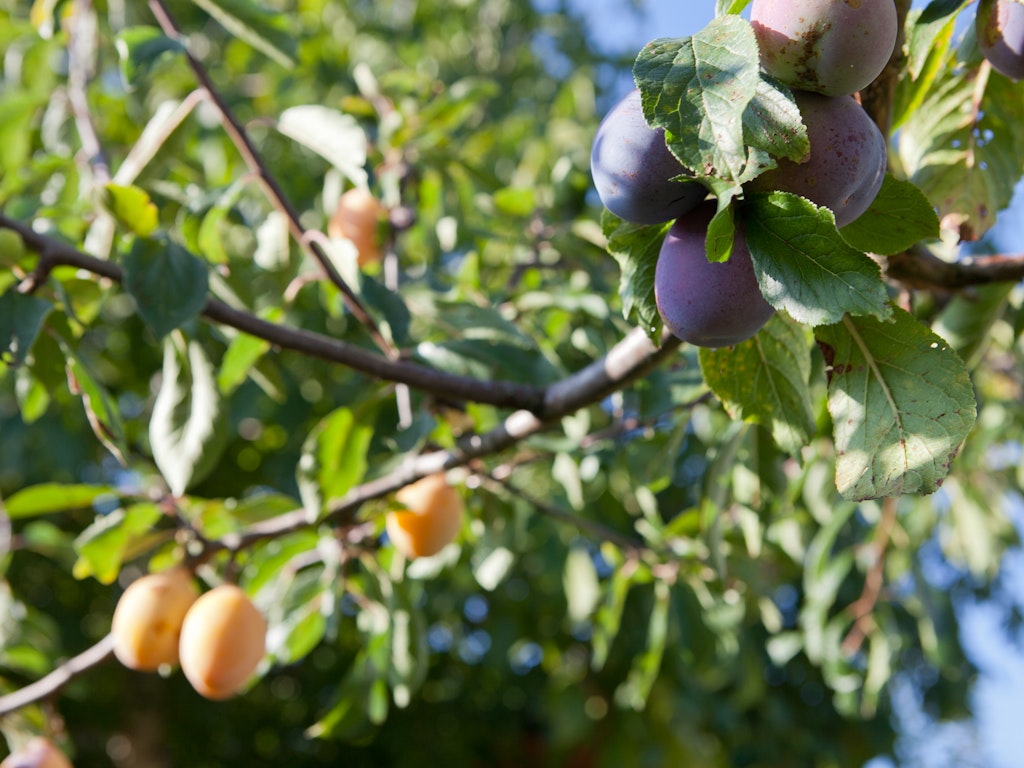 Vielfalt auf kleinem Raum.