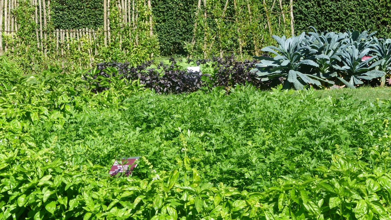 Der Boden eines üppig bewachsenen Gemüsegartens braucht zwischendurch eine Pause.