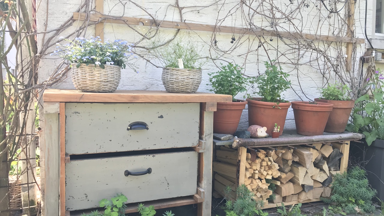 Töpfe mit Kräutern und Blumen sowie Rankpflanzen an der Fassade sind ideale Trittsteine für viele Tiere.
