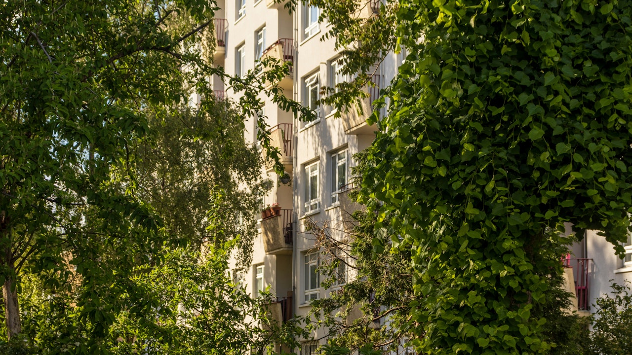 Bäume und Sträucher binden CO2 und tragen zur Verbesserung der Luftqualität bei – besonders in Städten. ©dele-oke-unsplash