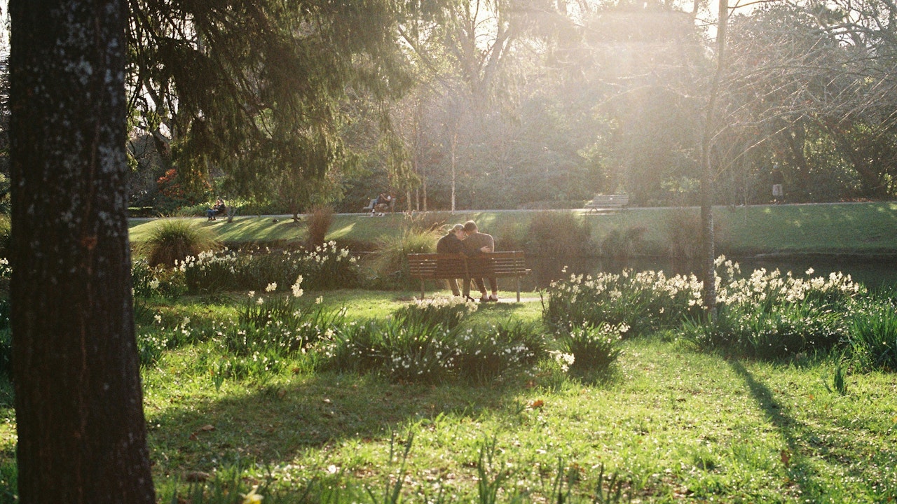 Studien zeigen: Der Aufenthalt in der Natur reduziert Stress und steigert die kognitive Leistung.
