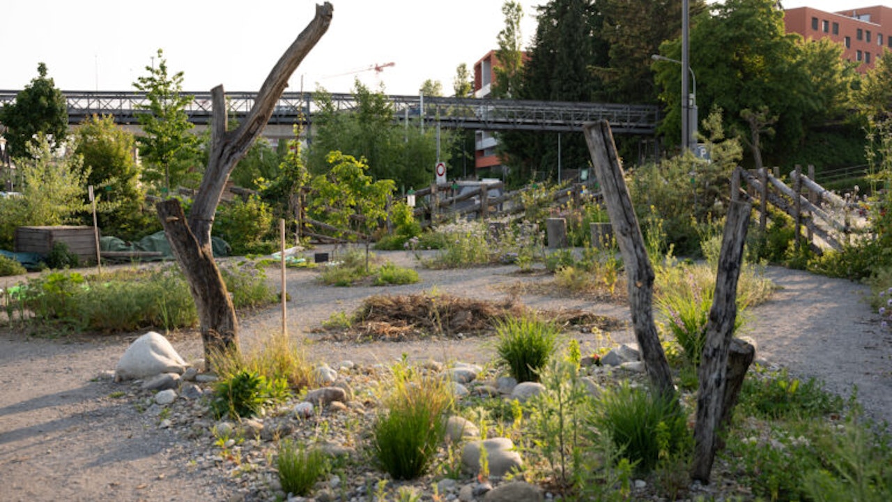 Das Areal Bach wurde mit dem Binding Anerkennungspreis für Biodiversität 2023 ausgezeichnet.