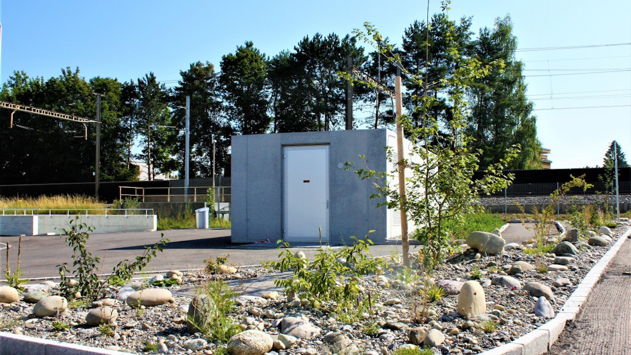 Naturnahe Ruderalfläche