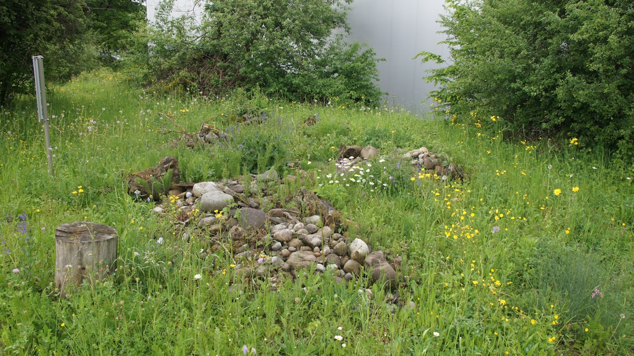 Kleinstrukturen, Sträucher und Informationstafel in einer Blumenwiese