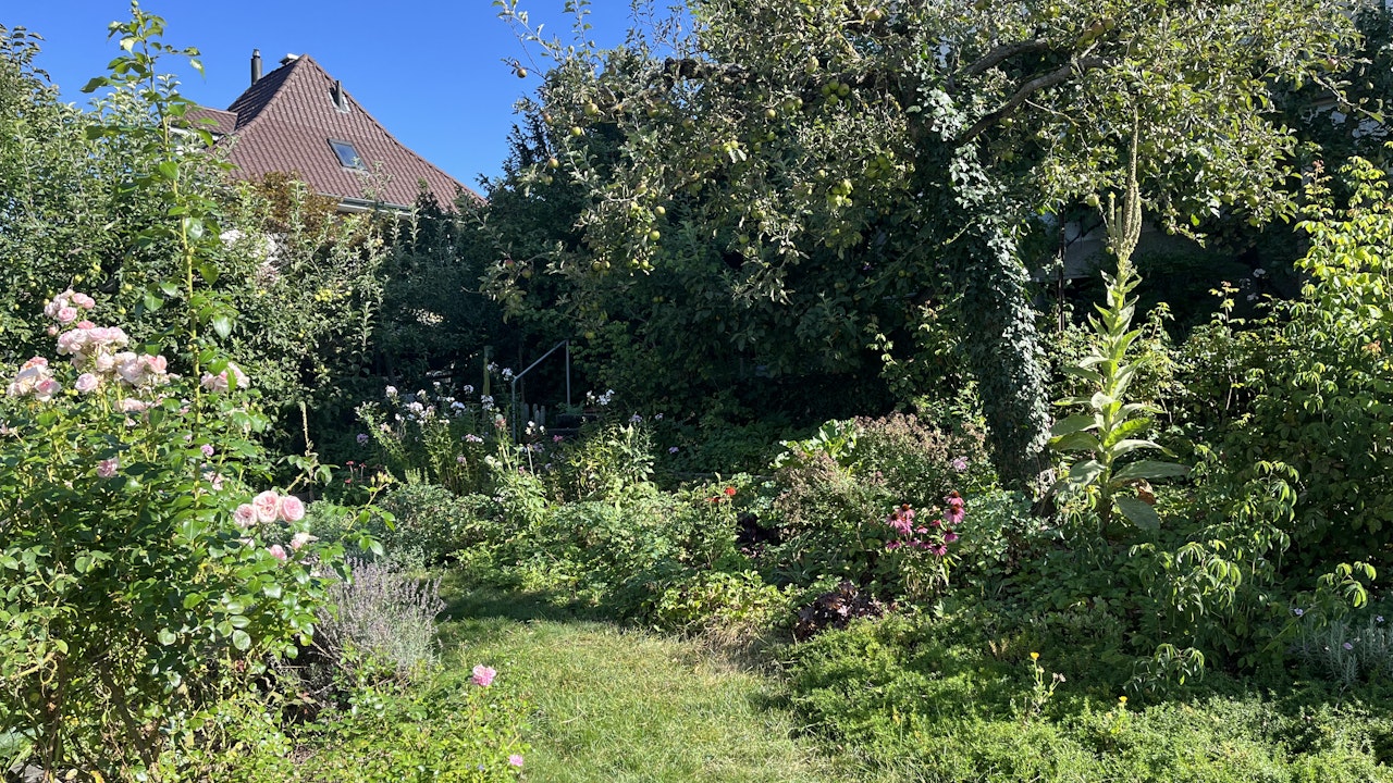 Naturnaher Garten in Burgdorf, welcher das Label "Garten der Zukunft" der Stiftung Natur & Wirtschaft trägt.