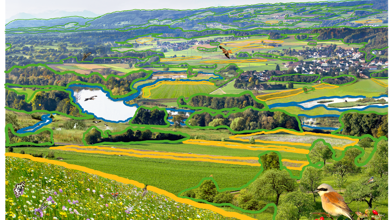 Ausgewiesene Flächen der Ökologischen Infrastruktur – das Rückgrat der Biodiversität.