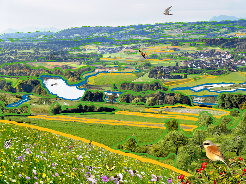 Ausgewiesene Flächen der Ökologischen Infrastruktur – das Rückgrat der Biodiversität.