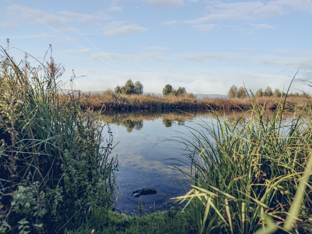 Lagune Eaux-Vives. Credit: David Wagnières / Ville de Genève Lagune Eaux-Vives. Credit: David Wagnières / Ville de Genève