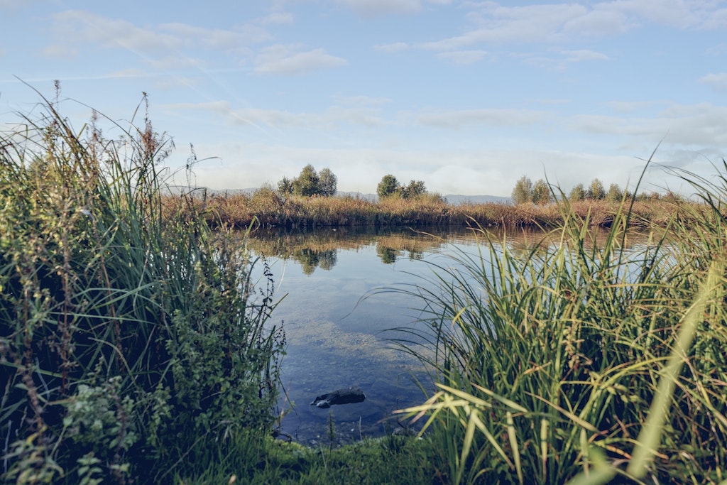 Lagune Eaux-Vives. Credit: David Wagnières / Ville de Genève