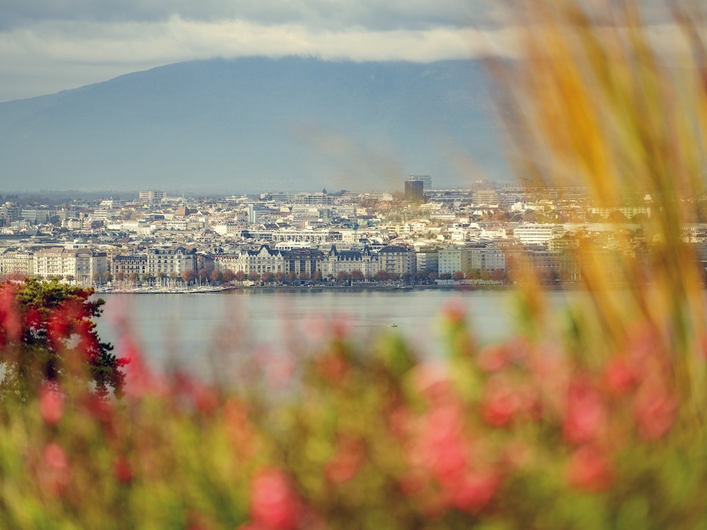 Nature en ville. Credit: David Wagnières / Ville de Genève Nature en ville. Credit: David Wagnières / Ville de Genève