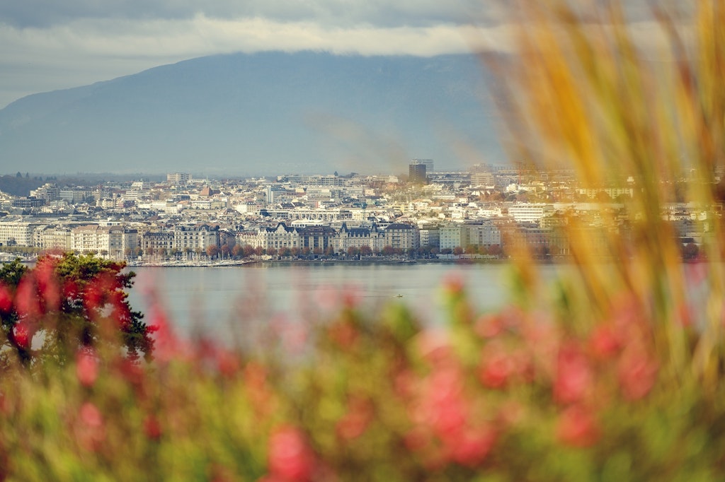 Nature en ville. Credit: David Wagnières / Ville de Genève