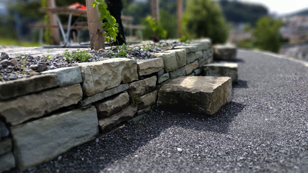 Zwischen sonnigen Steinen blüht das Leben auf.