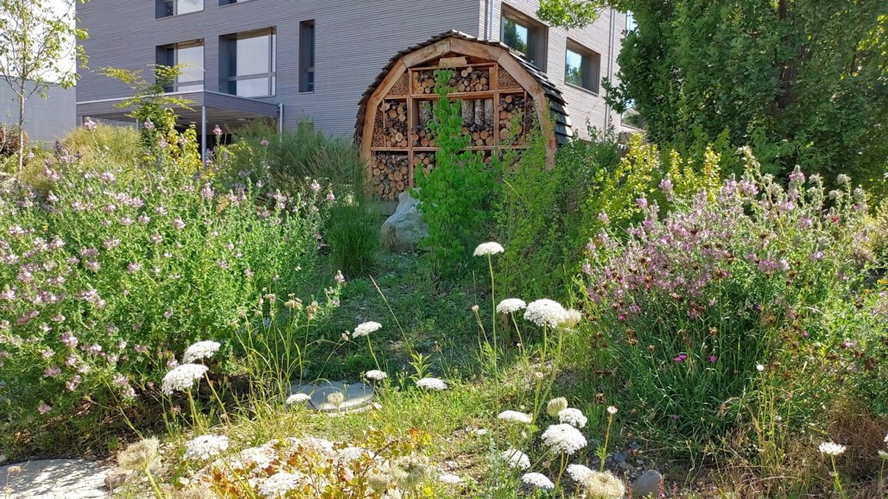 Schulumgebung, Bad Zurzach: Insektenhotel