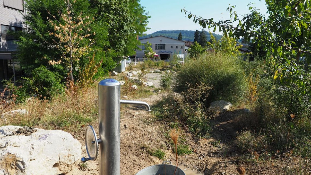 Schulumgebung: Spielplatz Bad Zurzach, Aargau