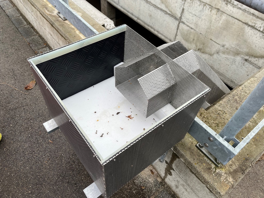 Amphibienausstieg im Regenbecken der Kläranlage / Marco Bertschinger