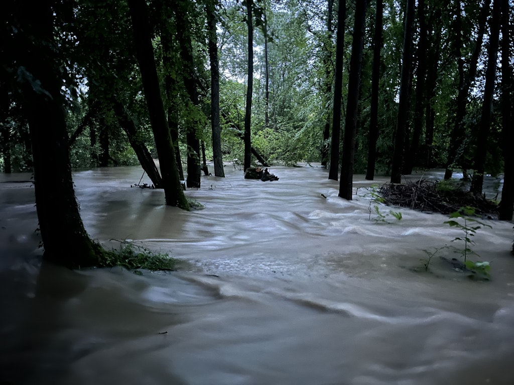 Hochwasser an der Aach / Marco Bertschinger