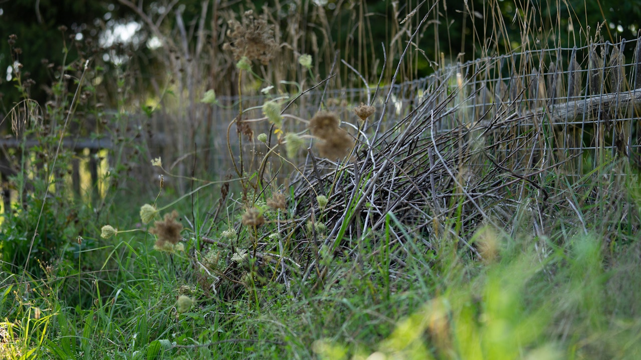 Ein Asthaufen dient als wichtiger Trittstein und fördert die Vielfalt an Lebensräumen im Garten.