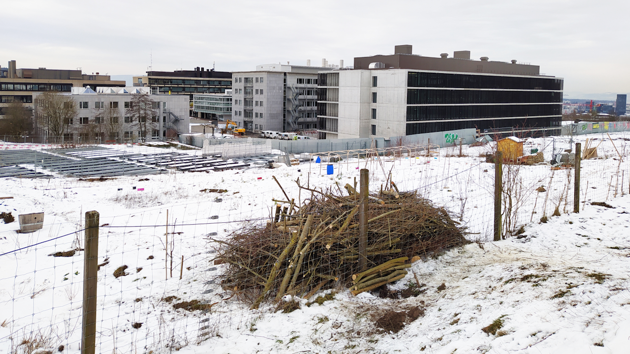 Asthaufen als wertvolles Winterquartier für Igel, Amphibien und Insekten.