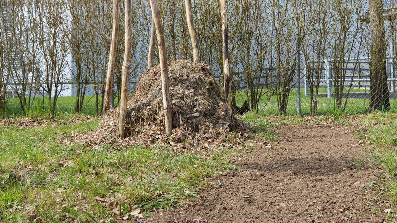 Laubhaufen: Rückzugsort für Igel, Insekten & Co. – natürlicher Lebensraum im Herbst und Winter
