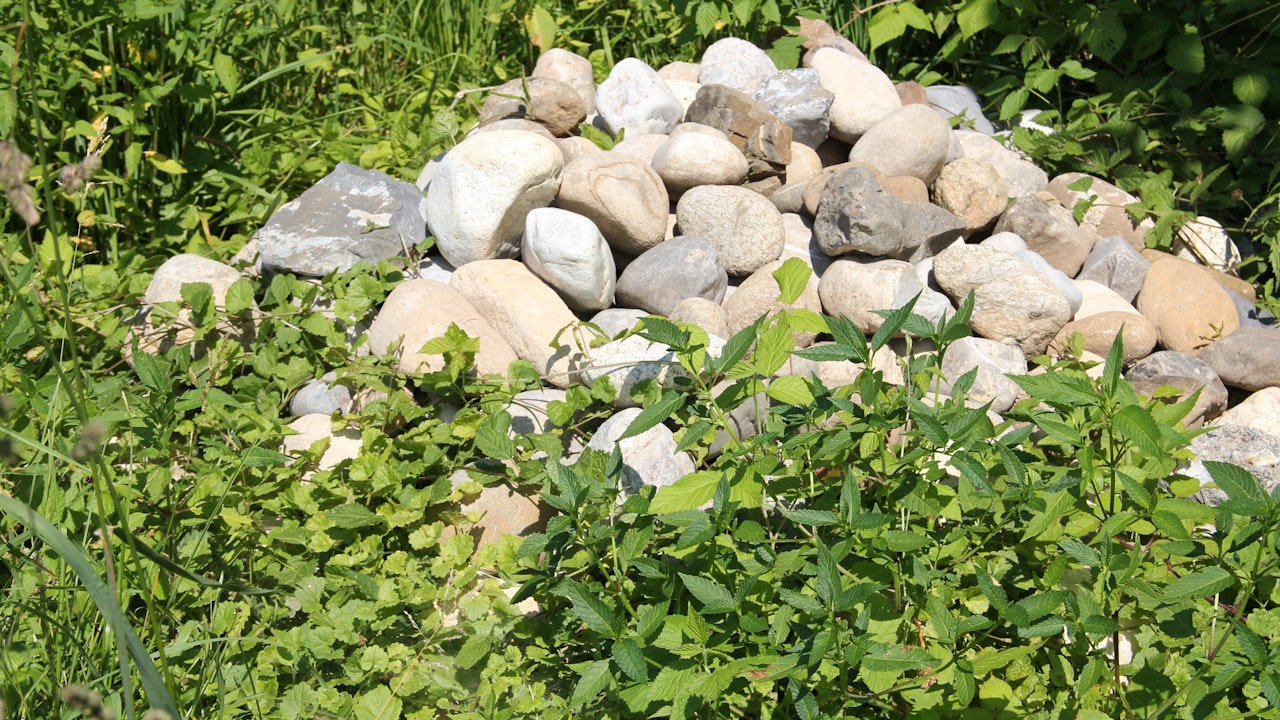 Cumulo di pietre circondato da una bordura di erba (Elfenau)