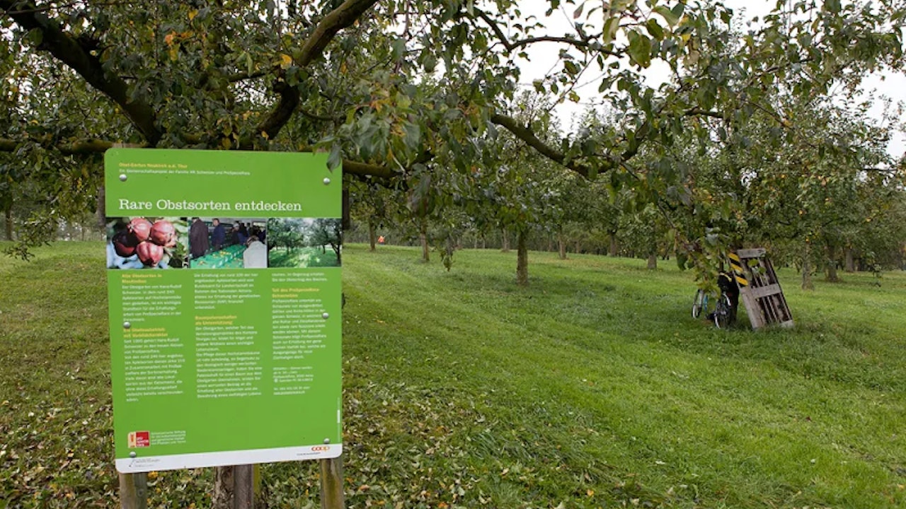 Der ProSpecieRara-Obstgarten von Hans Rudolf Schweizer in Neukirch a.d. Thur.