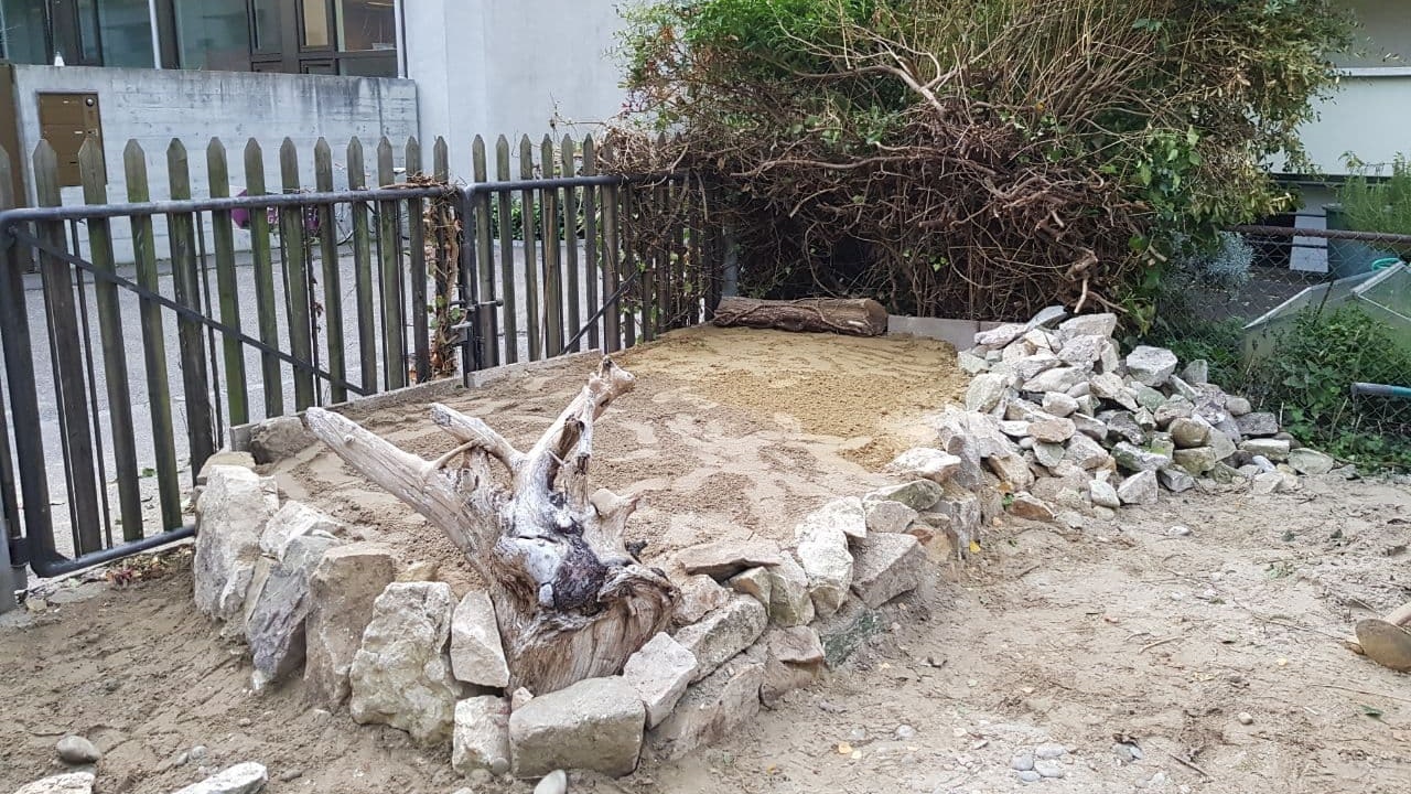 Grande sandarium come sito di nidificazione per api selvatiche e altri insetti che nidificano al suolo.