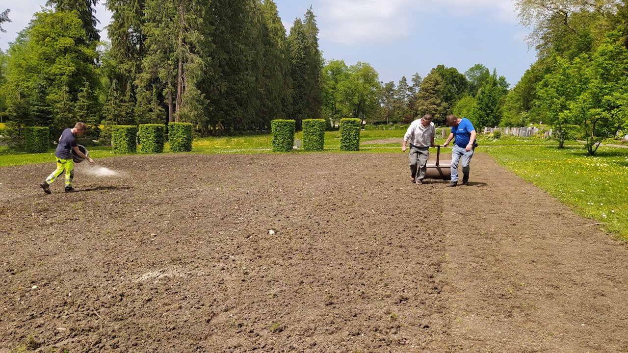 Blumenwiese neu anlegen: Boden vorbereiten, regionales Saatgut säen und mit naturnaher Pflege langfristig Artenvielfalt fördern