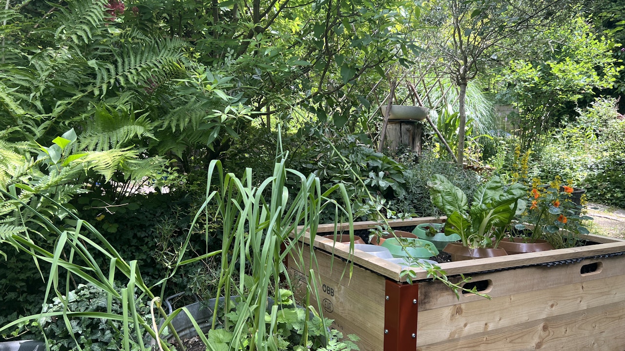 Hochbeete bereichern jeden Garten und sind für Gross und Klein ein Erlebnis