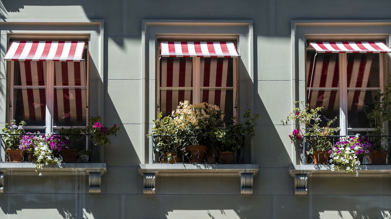 Les rebords de fenêtre conviennent particulièrement bien aux fleurs qui attirent les insectes