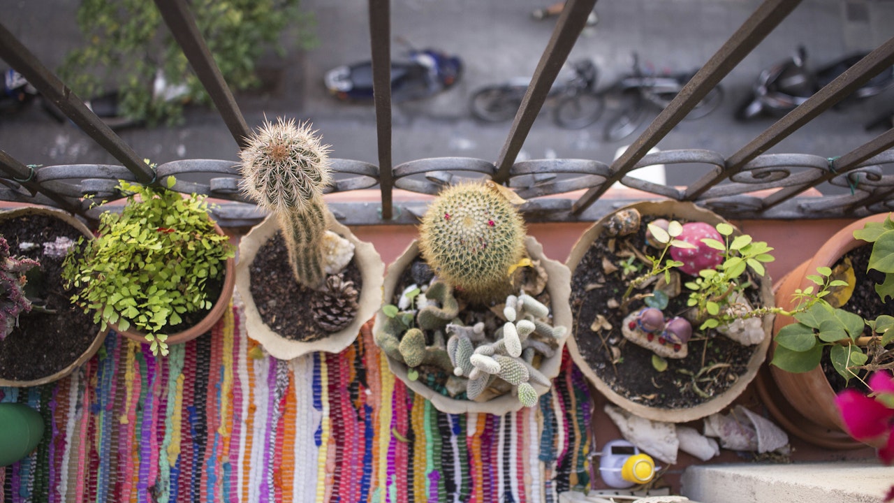 Aucun balcon n’est trop petit pour être un point de biodiversité.