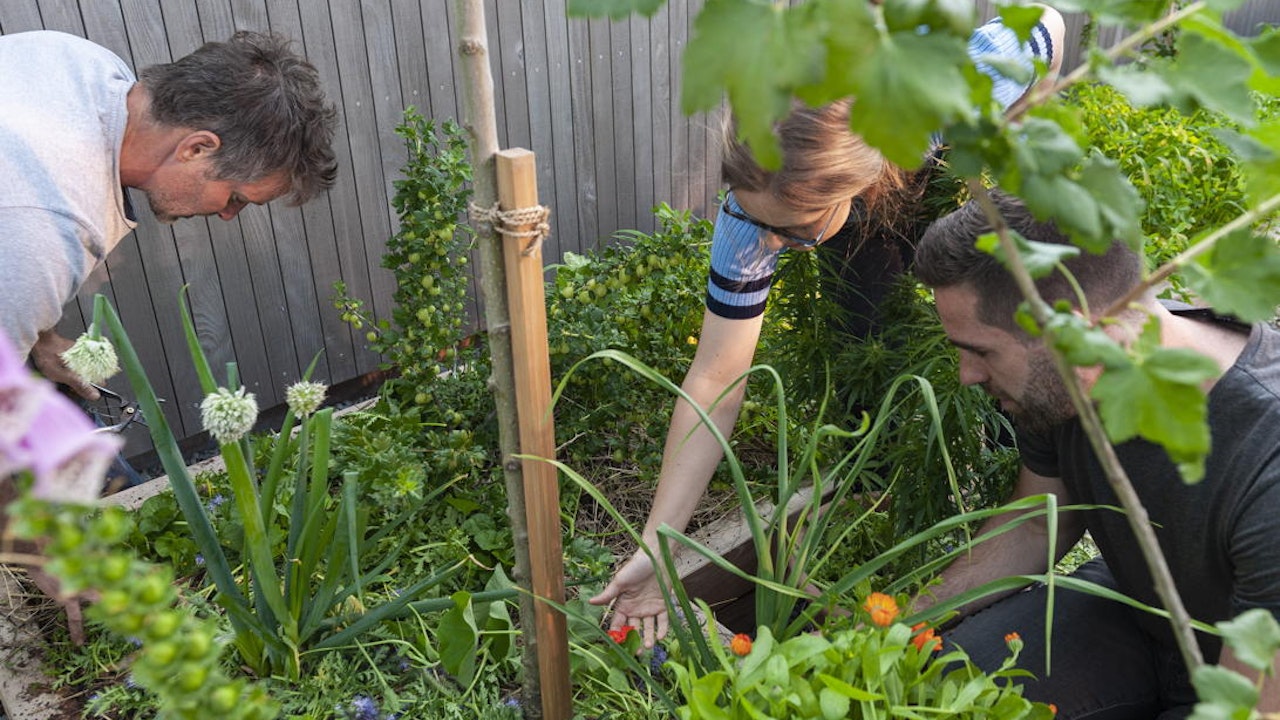 Ein gemeinschaftlich betreuter Garten gehört zum Mehrfamilienhaus.