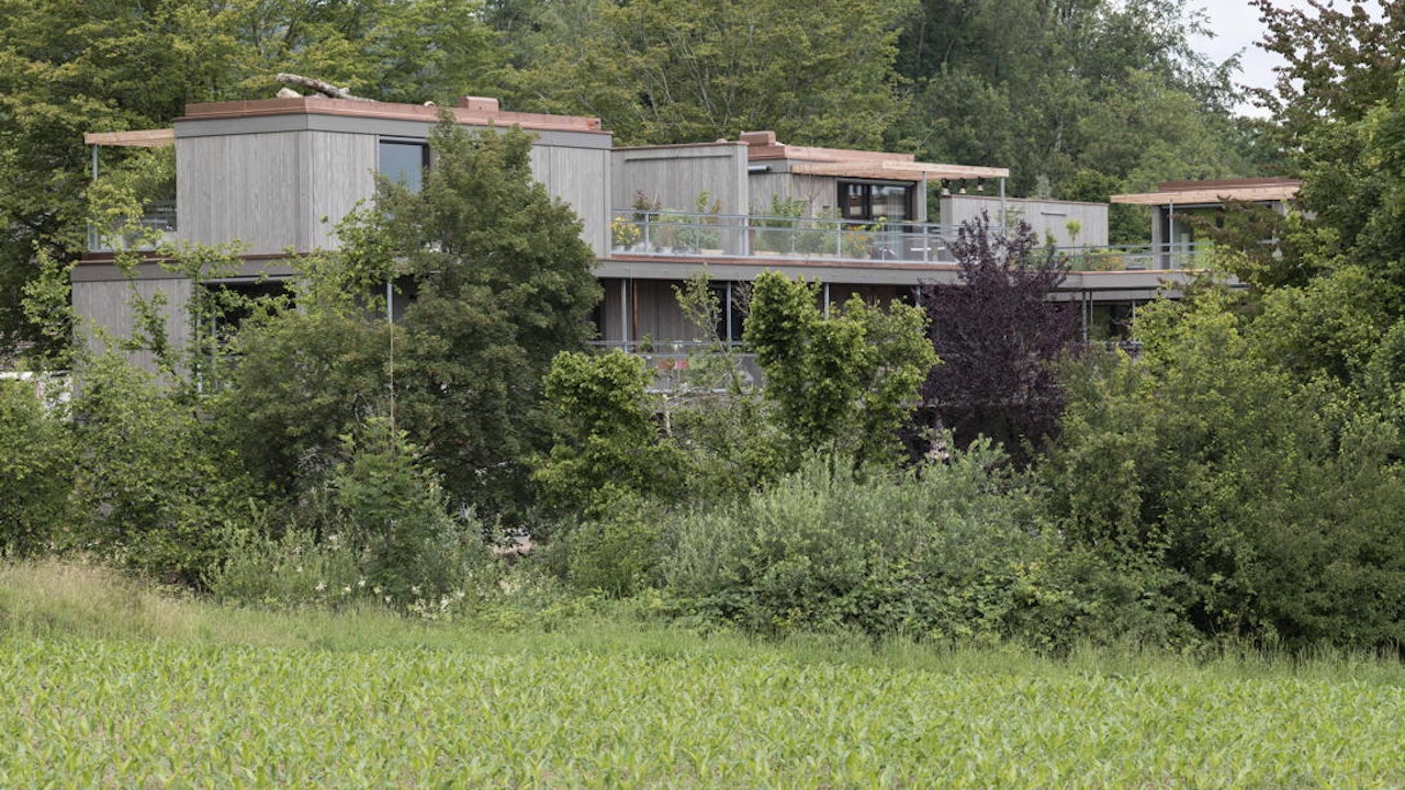 Aussenansicht des Mehrfamilienhauses «Wohnen in den Bäumen». Die Natur wurde im, am und ums Haus in die Planung mit einbezogen.