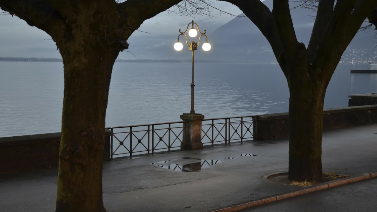 Rundstrahlende Strassenlampen verursachen starke Lichtabstrahlung, ein Problem für nachtaktive Insekten und Tiere.