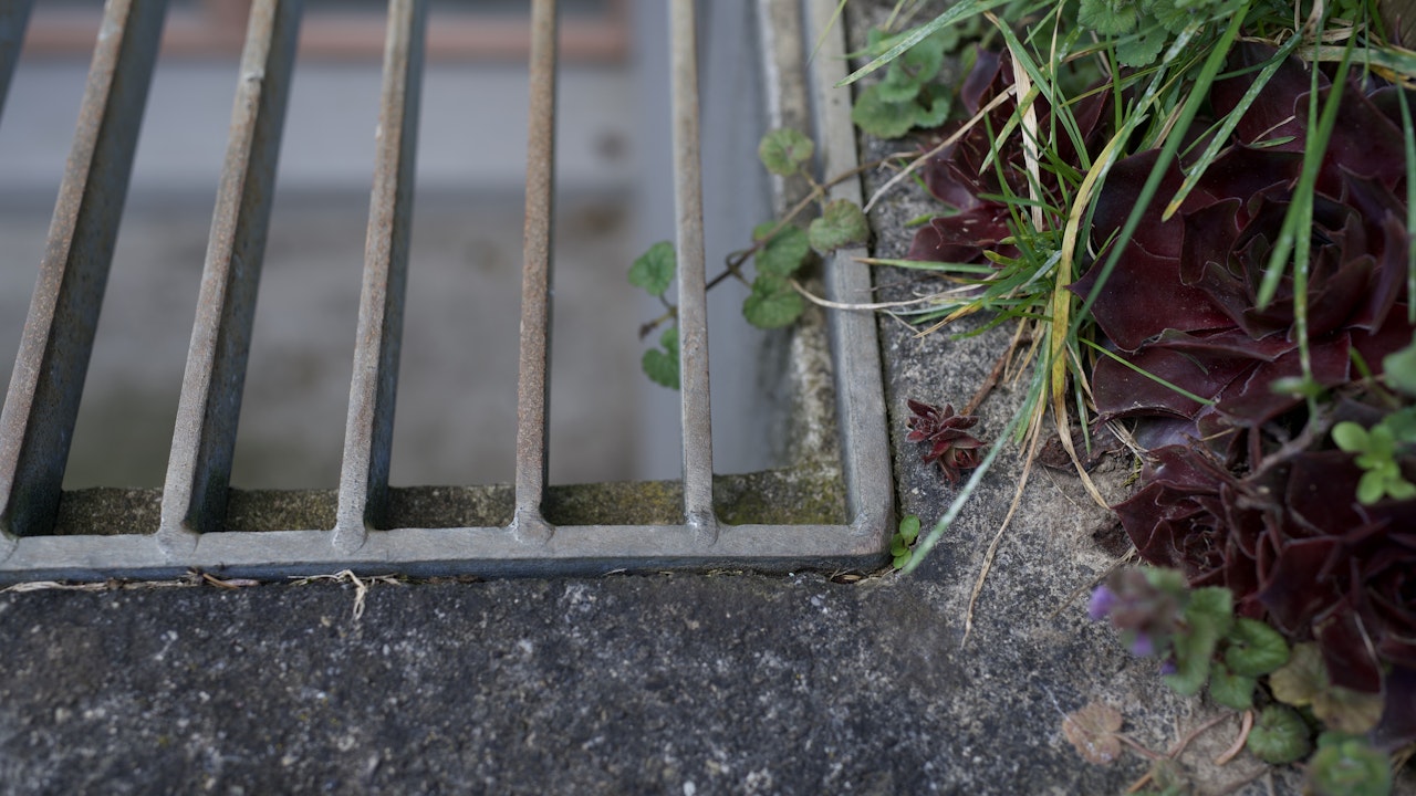 Unsichtbare Gefahr am Haus: In Lichtschächte mit grobem Gitter stürzen Tiere oft unbemerkt und können sich ohne Hilfe nicht mehr befreien.