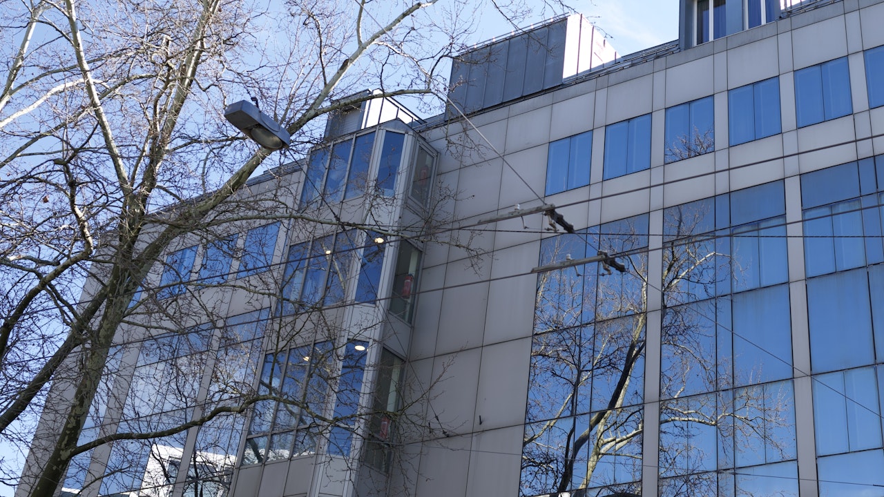 Glasflächen spiegeln Bäume und Himmel – für Vögel oft tödlich. Kollisionen mit Fenstern zählen zu den häufigsten Todesursachen.