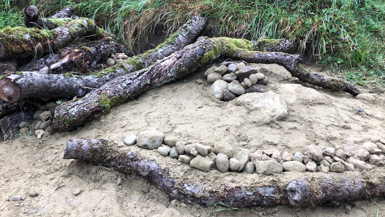 Les dunes de sable offrent un abri à de nombreuses abeilles sauvages qui nichent au sol.