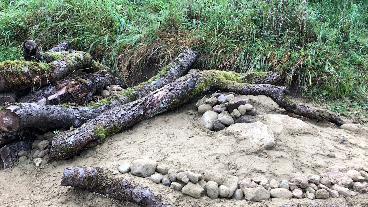Les dunes de sable offrent un abri à de nombreuses abeilles sauvages qui nichent au sol.