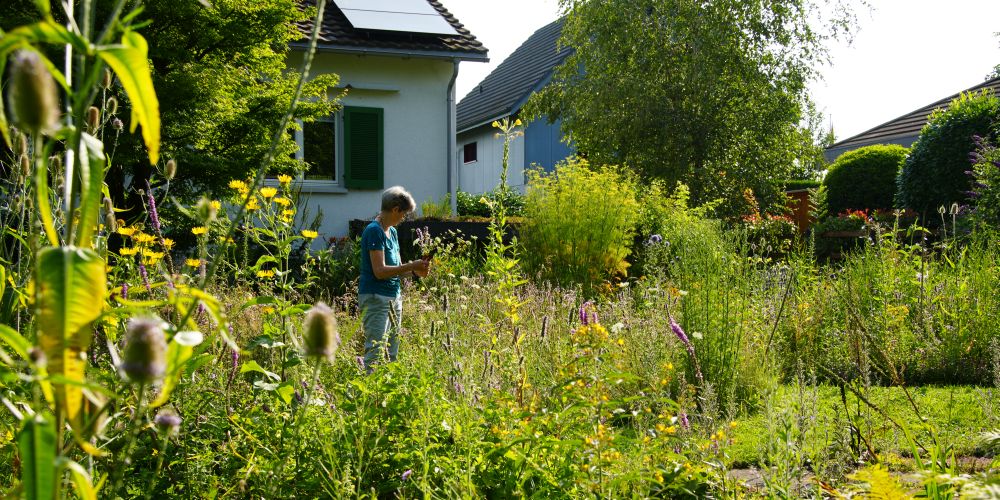 Frau bindet Blumenstrauss in der Blumenwiese in ihrem Garten