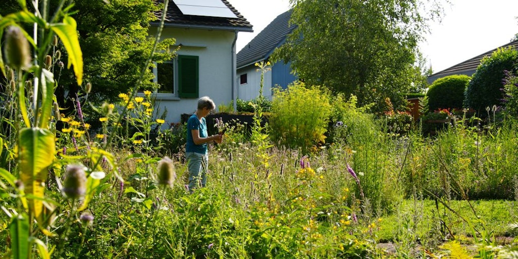 Frau bindet Blumenstrauss in der Blumenwiese in ihrem Garten